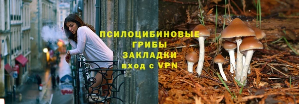 прущий лед Алексин