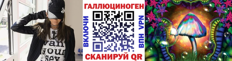 где продают наркотики  Яровое  Галлюциногенные грибы Psilocybine cubensis 